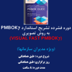 visual pmbok7